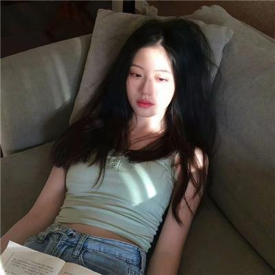 没人瞭波斯猫